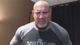 desktop-wallpaper-bill-goldberg-goldberg.jpg