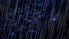 1740168079696.png