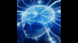 1741719546312.png