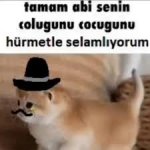 1742257782952.jpeg