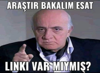1743017620392.png