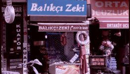 1743531820467.png
