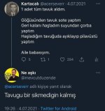 1743707328671.jpeg