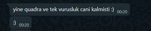 Ekran görüntüsü 2025-04-06 210306.png