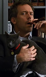 avis.png