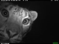 IMG_4517.jpeg