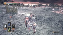 DS3.jpg