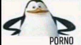 1755280052162.jpeg