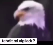 1756560627266.png