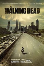 TheWalkingDeadAfiş.jpg