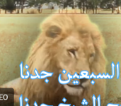 1772393587226.png