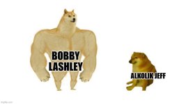 1772916125484.jpeg