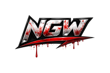 ngw_logo_wwe_style_transparent.png