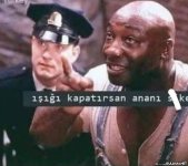 IMG_3831.jpeg