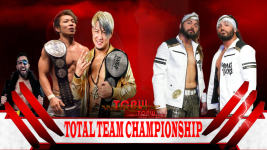 TOTAL Team Championship.png